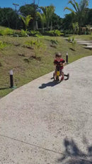 Triciclo Infantil Multifuncional Dobrável Mr. Panda TX-41